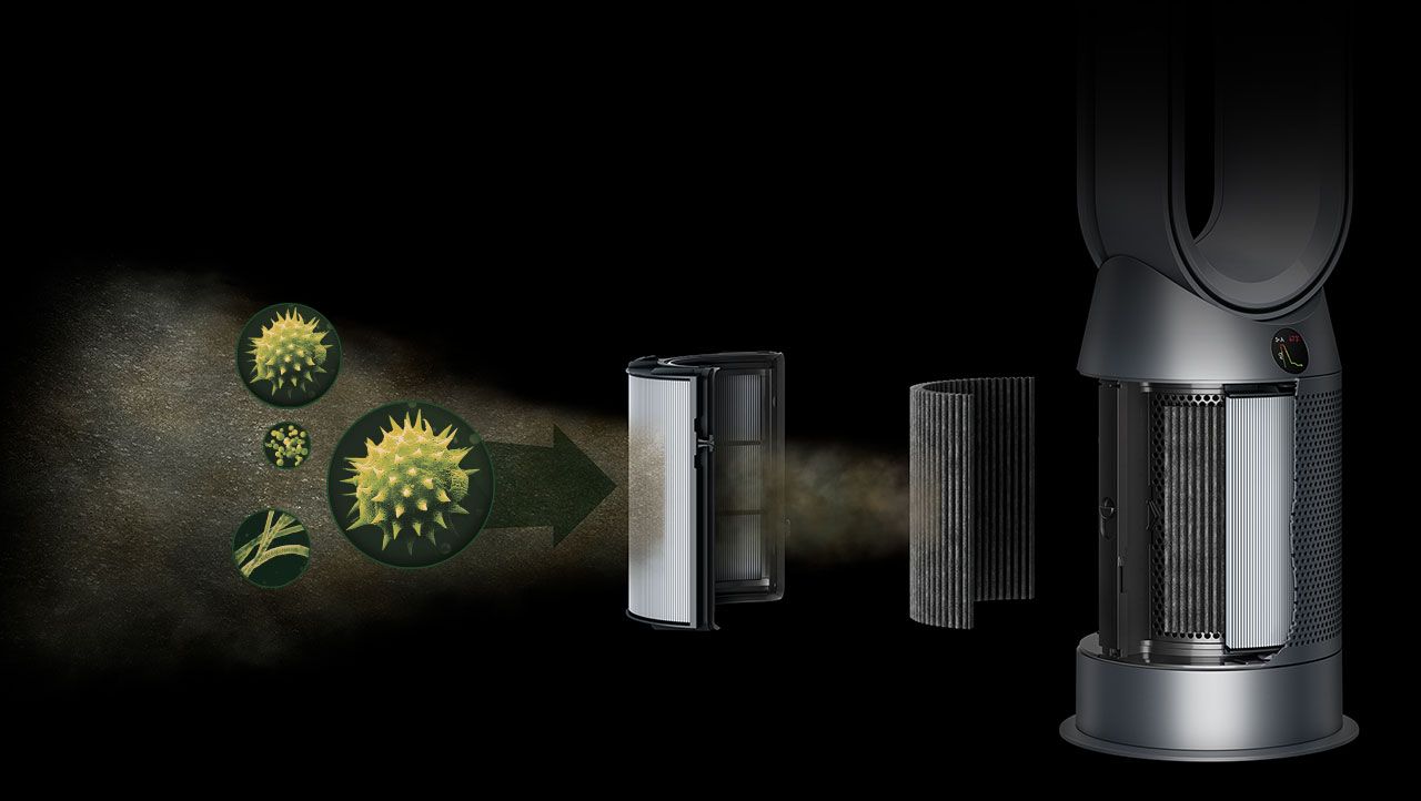 Dyson clearance pollen filter
